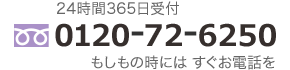 ե꡼