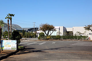 β